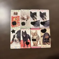 動物デザイン 文房具セット　わんわんにゃにゃんぺんぺん ワンニャンデザイン 文房具セット - メルカリ