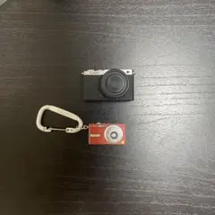 LUMIX MINIATURE COLLECTION まとめ売り