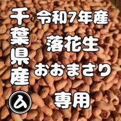 2026年最新】おおまさりネオの人気アイテム - メルカリ