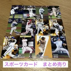 2024年カルビー　プロ野球チップス　カードまとめ売り