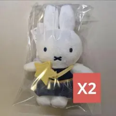 Item thumbnail for item 19ff80bc-588f-401b-a6e2-cf906bc81d91