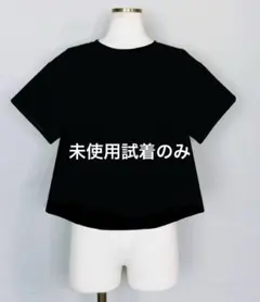 Dignite coller フレアT 黒のサムネイル