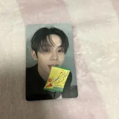 RIIZE ショウタロウ 東京ドーム 会場限定特典 トレカ