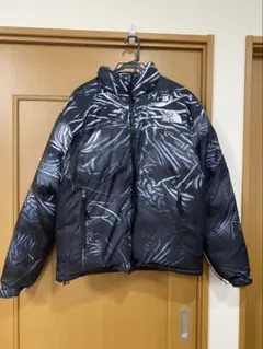 Supreme x The North Face Nuptse Jacket