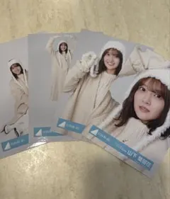 小坂菜緒 日向坂46 クリフハンガー ジャケット 生写真 4種コンプ
