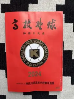 Item thumbnail for item 2d93d32c-3d89-44da-af5a-b1a2a4d034e9