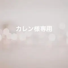 ヘッドドレス 結婚式 ヘアアクセサリー 髪飾り 髪留め 二次会 前撮り AF2a