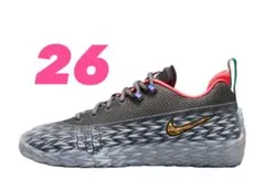 NIKE S.T. CHARGE EP ナイキ ストリートチャージ 29cm - メルカリ