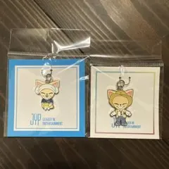 straykids スキズ popup キーホルダー チャーム フォクシニー