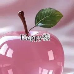 Happy様 リクエスト 3点 まとめ商品