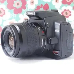 Item thumbnail for item b84eedfb-4c12-41b2-ae05-da6845a5cb24