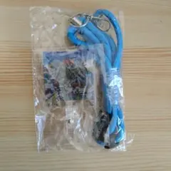 2026年最新】小田和正キーホルダーの人気アイテム - メルカリ