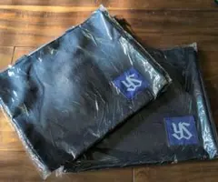 Item thumbnail for item 03eb93dd-dbd0-4561-b6a7-24e8532d3150