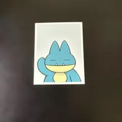 韓国限定 ポケモン ポップアップ ポケモンタウン ガチャ 証明写真 ゴンベ