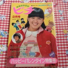2026年最新】手芸フレンド ピチの人気アイテム - メルカリ