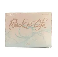 &TEAM Back to Life MINI CD-R 盤　新品未開封