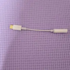 Type-C 変換アダプター