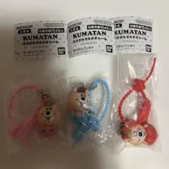 KUMATAN カラフルマルチチャーム 3点セット