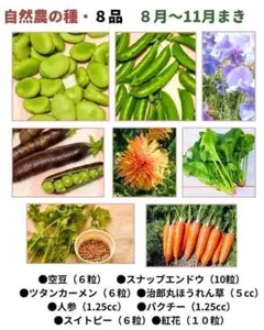 2026年最新】花の種の人気アイテム - メルカリ