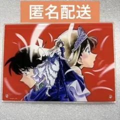 名探偵コナン アクリルアートパネル B コナンランド 工藤新一 毛利蘭