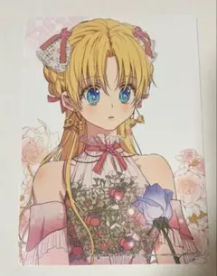 ある日、お姫様になってしまった件について 12巻 特典のみ