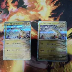 タケルライコ R 2枚