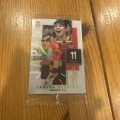 バレーボール女子日本代表 2026 山田二千華