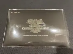 未開封】WCS 2024 シアトル入場特典 セレブレーションイベント記念品