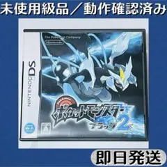 ポケモン】ブラック2 配信 6vメタモン付き 道具完備