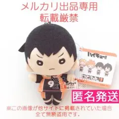 2026年最新】にとたん ハイキュー ぬいぐるみ 影山の人気アイテム