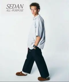 sedan all purpose