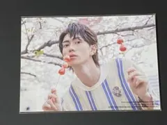 樋口幸平　TVガイドperson ブロマイド　生写真