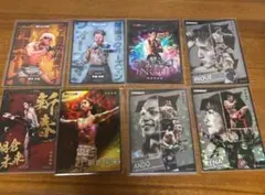 レア】RIZIN ライコレリアルカード シェイドラエフ 3枚セット - メルカリ
