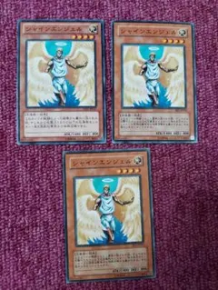 遊戯王　シャインエンジェル　3枚　ノーマル