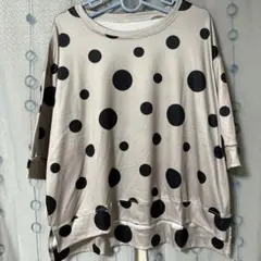 Item thumbnail for item 3b815ea6-36d8-4b39-822a-825b0f51b136