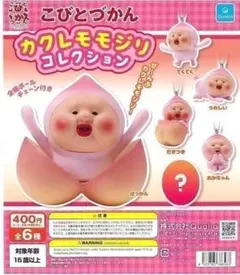 こびとづかん カクレモモジリコレクション 全6種 ガチャ フルコンプ