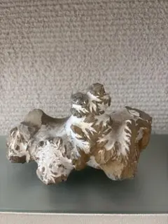 超特大・極稀少】マギルス貝（化石・玉化）原石オブジェ 博物館級