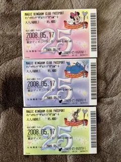 ディズニー25周年 使用済みチケット5枚 - メルカリ