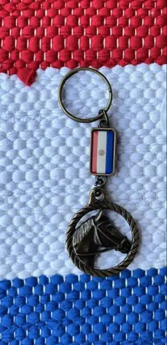 PALACE FUKUOKA KEYRING パレス 福岡限定 キーリング - メルカリ