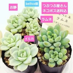 bellva様 リクエスト 2点 まとめ商品