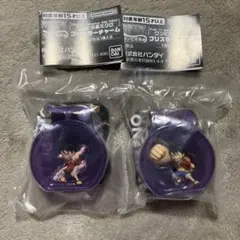 【匿名配送】ワンピの実ミクロ　2個セット