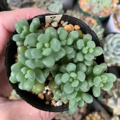 のんのん様 リクエスト 2点 まとめ商品♡同梱割引あり−80