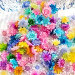 はたはた様 リクエスト 2点 まとめ商品