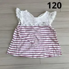 【値下げ】 メゾピアノ　半袖　ノースリーブ　Tシャツ　120 ボーダー