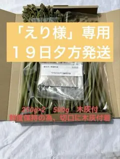 わらび【ぐんま産】500gえり様専用〜33