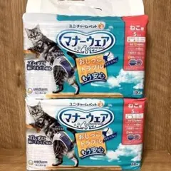 Item thumbnail for item bdd90970-c4a0-4c9f-b078-0e2c908cec06