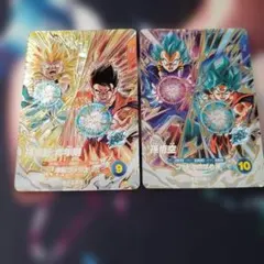 ダイバーズ PUR2種