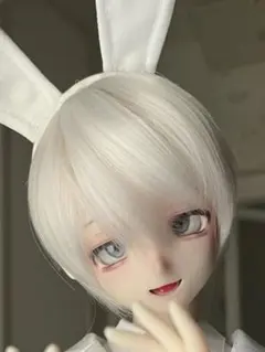 2026年最新】DDH09の人気アイテム - メルカリ