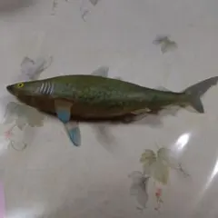 オオメジロザメ シャークアタック　&co デアゴスティーニ　アンドコ