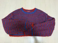 ZARA ボーダーニット 長袖